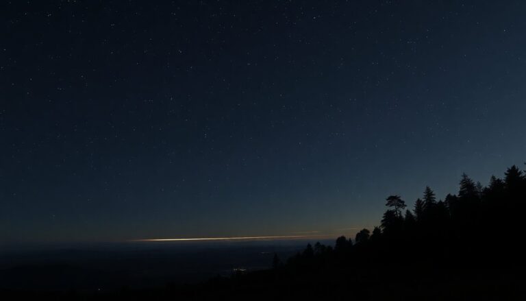 spacex lancia 15000 satelliti starlink per garantire una connessione globale ultraveloce python 1758846884